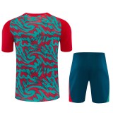 26-27 Portugal High Quality Training Short Suit