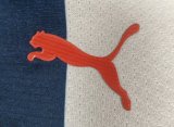26-27 Monterrey Home Player Version Soccer Jersey