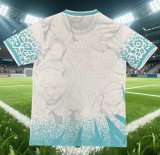 26-27 Brazil Special Edition Fans Soccer Jersey