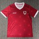 27-28 Wales Home Fans Soccer Jersey