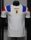 26-27 Japan Special Edition Player Version Training Shirts