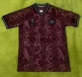 24-25 Denmark Special Edition Fans Soccer Jersey