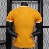 24-25 Cote d'Ivoire Special Edition Players Version Soccer Jersey