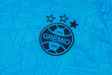 24-25 Gremio High Quality Training Short Suit