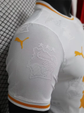 24-25 Cote d 'Ivoire Special Edition Player Version Soccer Jersey