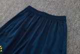 24-25 Brazil High Quality Training Short Suit