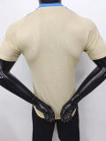 24-25 Argentina Khaki Player Version Training shirts