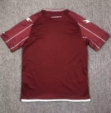 24-25 Salernitana Home Fans Soccer Jersey