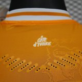 24-25 Cote d'Ivoire Special Edition Players Version Soccer Jersey