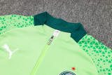 24-25 Palmeiras High Quality Half Pull Tracksuit