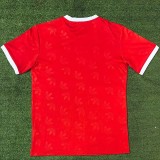 24-25 Bayern Red Special Edition Fans Training shirts