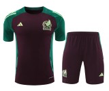 24-25 Mexico High Quality Training Short Suit