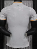 24-25 Cote d 'Ivoire Special Edition Player Version Soccer Jersey