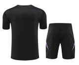 24-25 Germany High Quality Training Short Suit