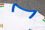 24-25 Italy High Quality Training Short Suit