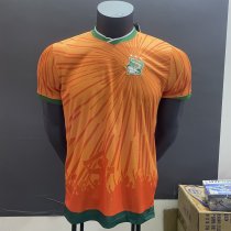 24-25 Cote d'Ivoire Special Edition Fans Version Soccer Jersey