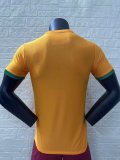 24-25 Cote d'Ivoire Home Player Soccer Jersey