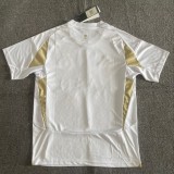 24-25 AL-Nassr Third Fans Soccer Jersey