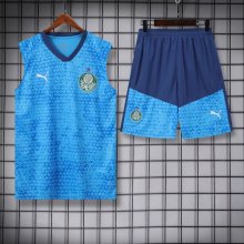 24-25 Palmeiras High quality Tank Top And Shorts Suit