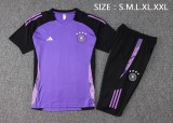 24-25 Germany High Quality Training Short Suit