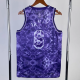 22-23 LAKERS JAMES #6 Purple Top Quality Hot Pressing NBA Jersey (荣耀版)