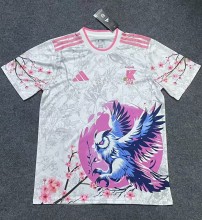 24-25 Japan Special Edition Fans Version Soccer Jersey