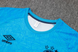 24-25 Gremio High Quality Training Short Suit