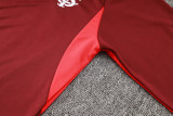 24-25 Internacional High Quality Half Pull Tracksuit