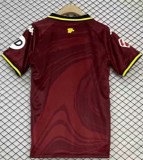 24-25 Real Valladolid Third Fans Soccer Jersey