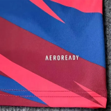 24-25 Nottingham Red Blue Training shirts