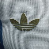 24-25 Argentina 50th Commemorative Edition Long sleeves Player Version Soccer Jersey