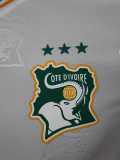 24-25 Cote d 'Ivoire Special Edition Player Version Soccer Jersey