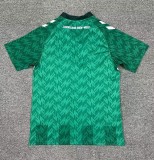 24-25 Werder Bremen Home Fans Soccer Jersey
