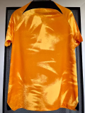 22-23 NetherIands Home 1:1 World Cup Fans Soccer Jersey