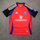 24-25 Hamburger Third Fans Soccer Jersey