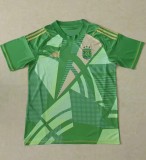 24-25 Argentina Goalkeeper Fans Soccer Jersey