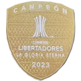 24-25 Fluminense Home Player Version Soccer Jersey