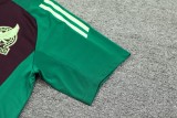 24-25 Mexico High Quality Training Short Suit