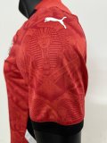 25-26 Egypt Home Players Soccer Jersey