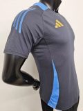 24-25 Argentina Grey Player Version Training shirts