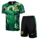 24-25 Brazil High Quality Training Short Suit