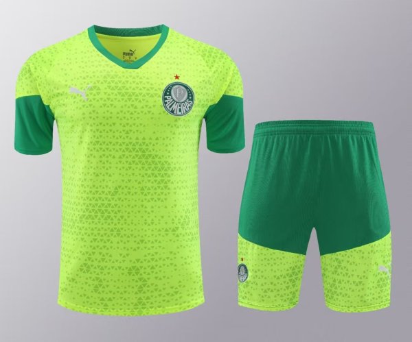 24-25 Palmeiras High Quality Training Short Suit