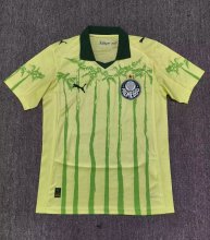 25-26 Palmeiras Special Edition Fans Soccer Jersey