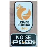 25-26 Universidad Católica Third Fans Soccer Jersey