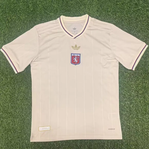 24-25 Lyon Beige Anniversary Edition Fans Soccer Jersey