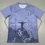 25-26 Brazil Grey Special Edition Training shirts