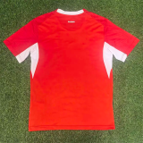 26-27 Switzerland Home Fans Soccer Jersey 1:1 Thai Quality