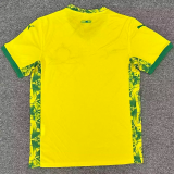 25-26 Mamelodi Sundowns Home Fans Soccer Jersey