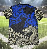 25-26 Porto Special Edition Training shirts