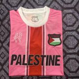 25-26 Palestine Special Edition Fans Soccer Jersey
